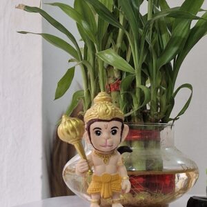 Hanuman ji small figure
