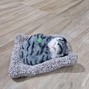 Sleeping cat with sound effect(medium)