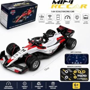 F1 rc car ( with phone controller)