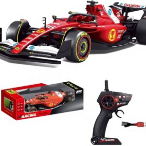 F1 RC CAR ( big size 1:10)