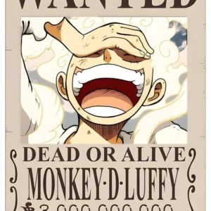 Luffy wanted poster a5 size